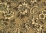 Print Fabric